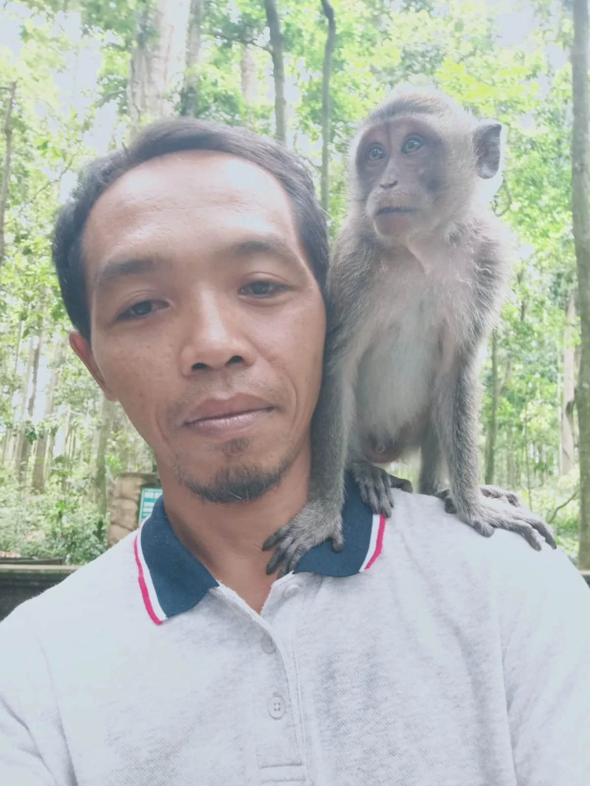 Tabanan Heritage & Nature: Tanah Lot, Jatiluwih & Temples (10-Hour Day Tour) - Image 3