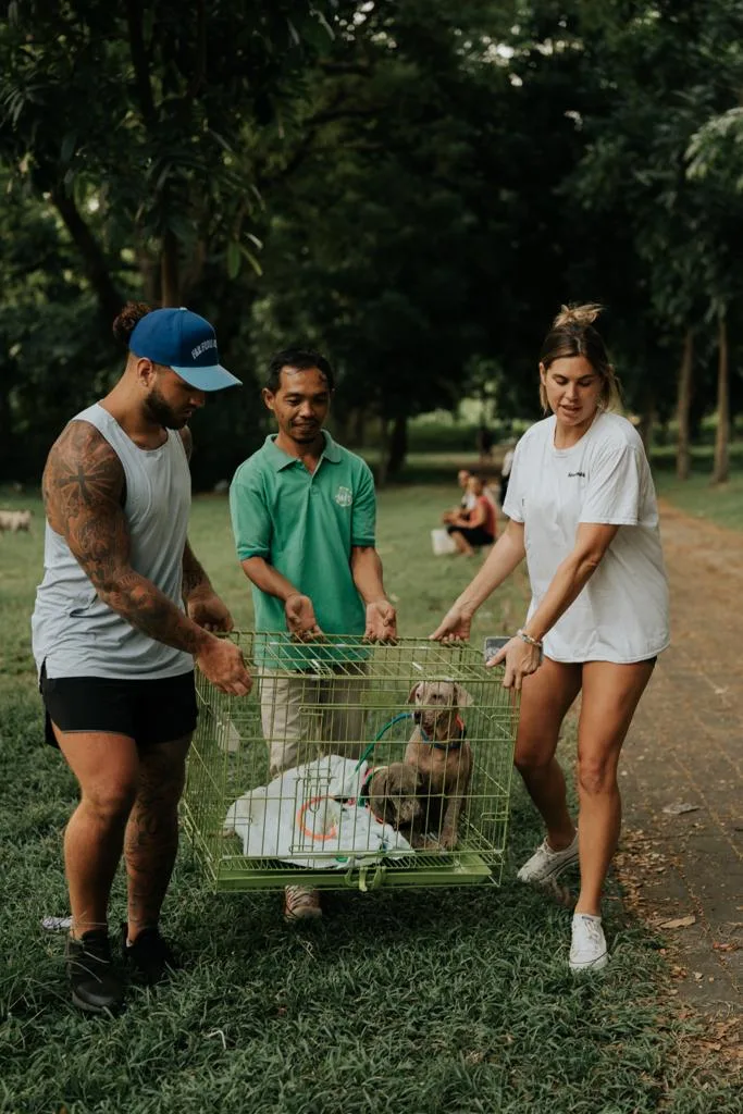 Tabanan Heritage & Nature: Tanah Lot, Jatiluwih & Temples (10-Hour Day Tour) - Image 4
